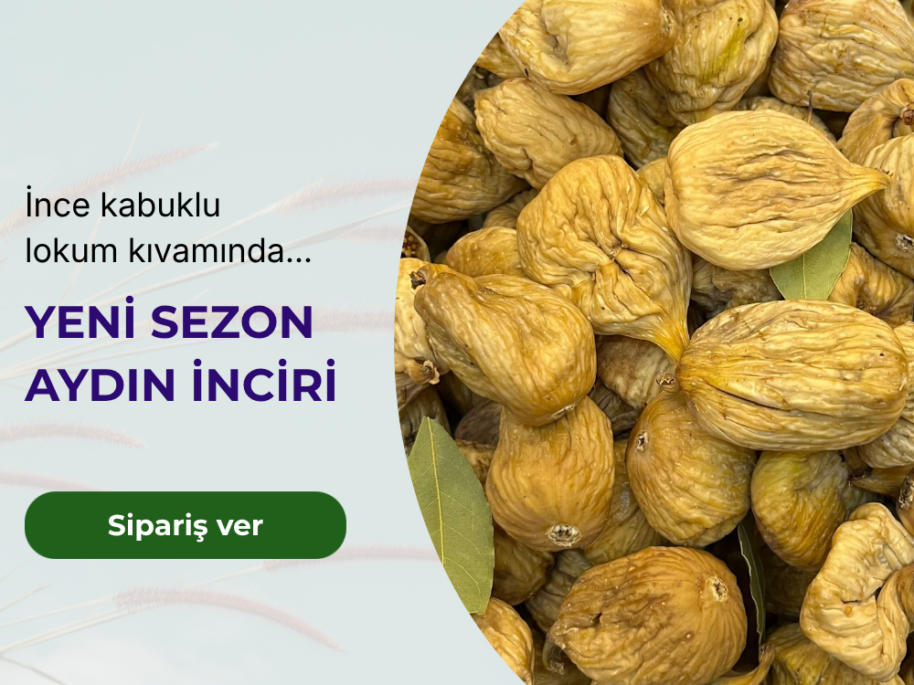 fasf (2)