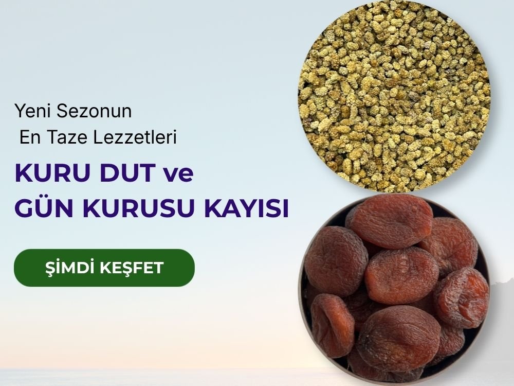 fasf (3)